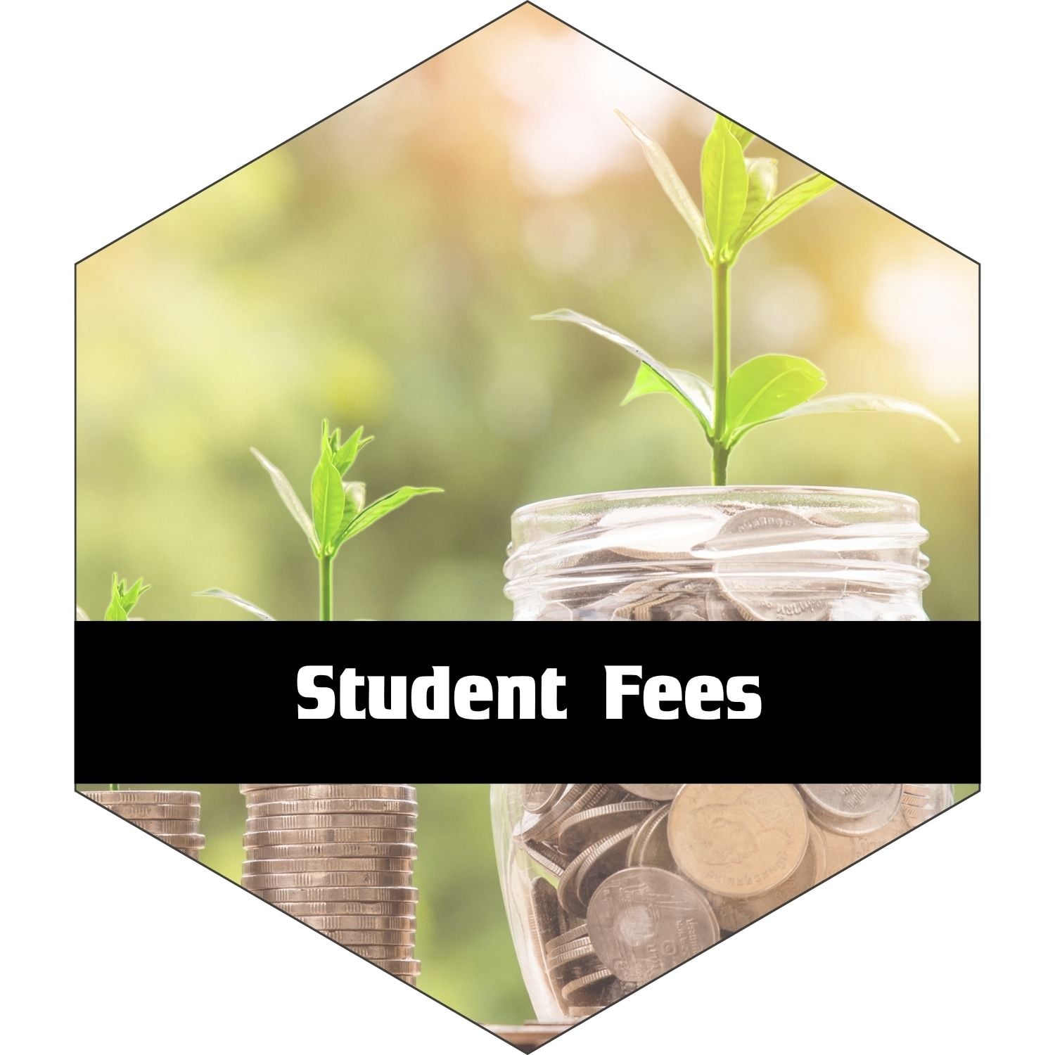 Student Fees:  Plant growing from money in a jar
