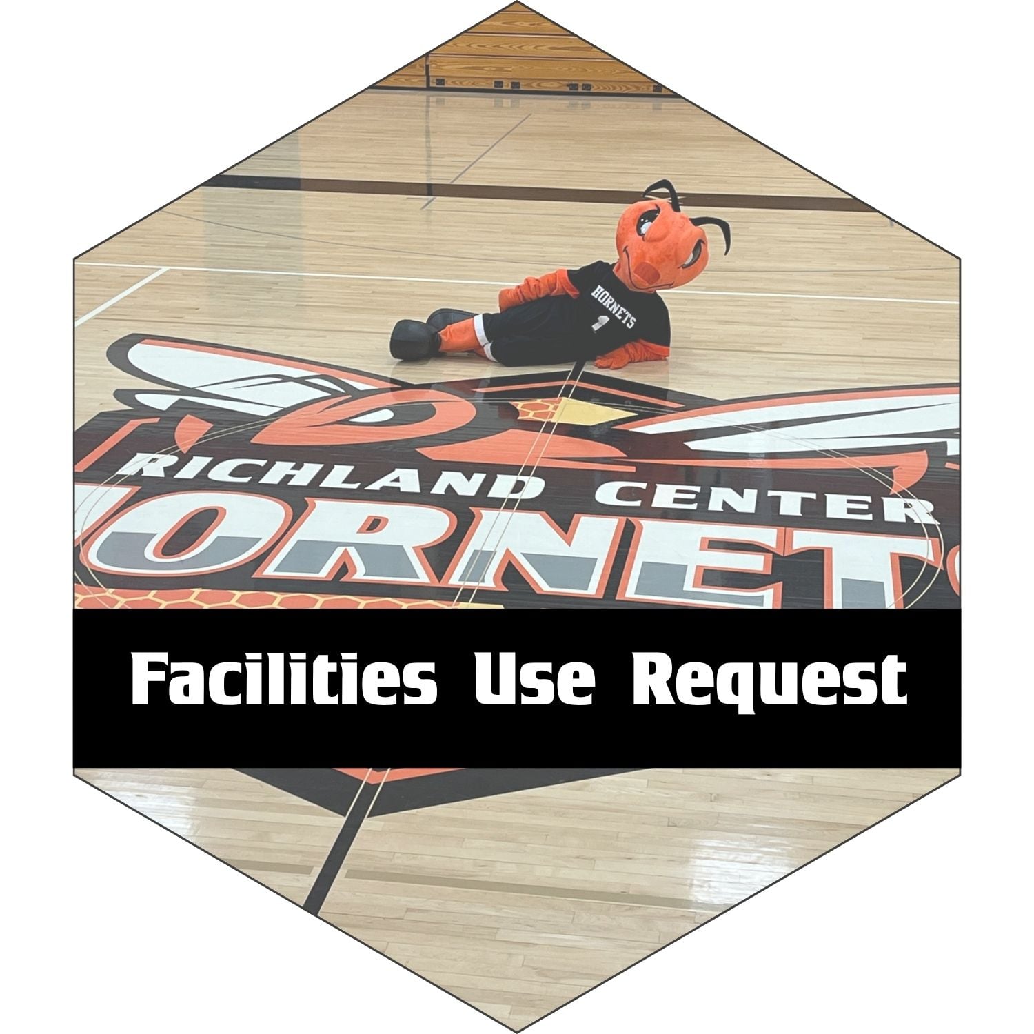Homer on the Gym Floor - Facilities Use Request
