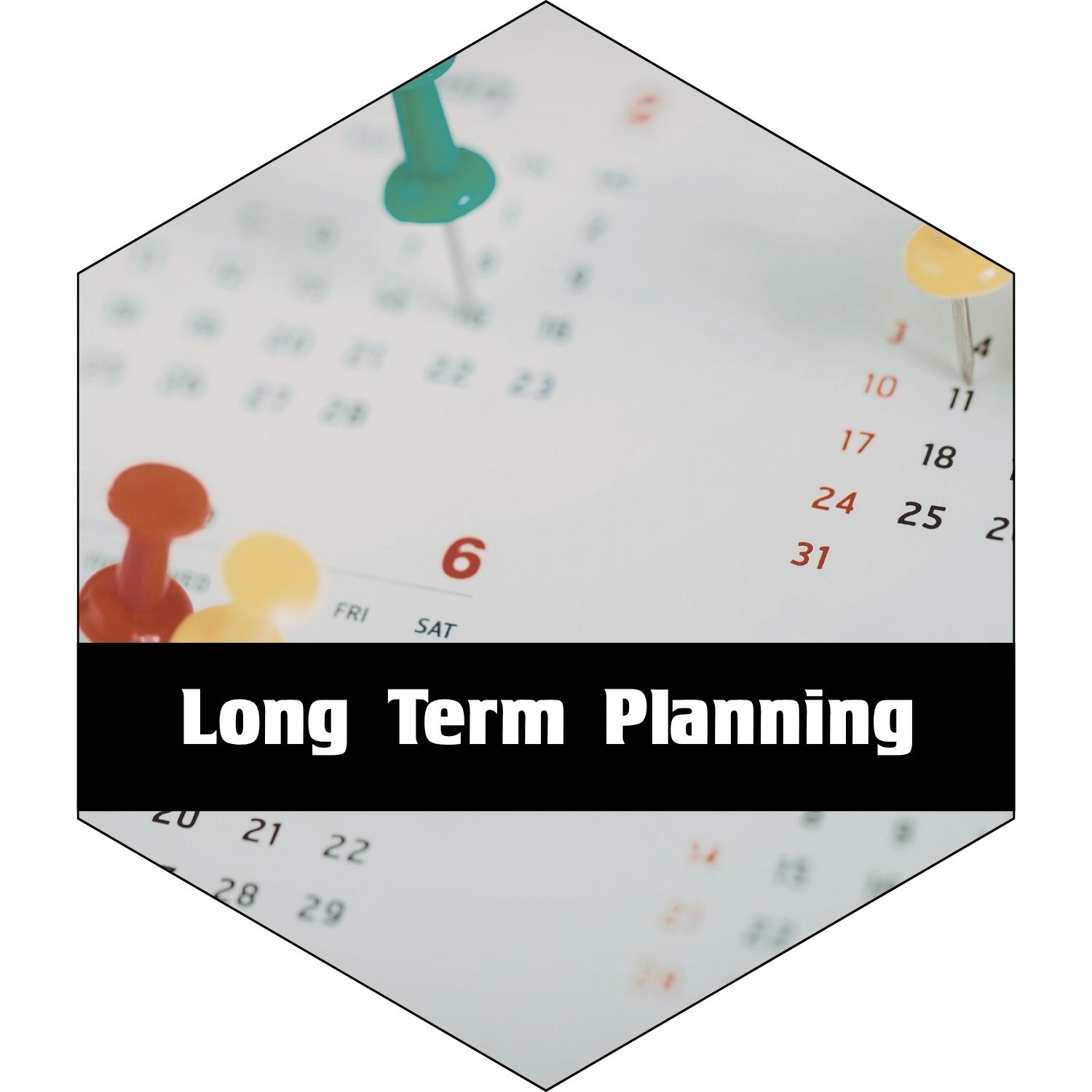 Long Term Planning - Calendar with push pins