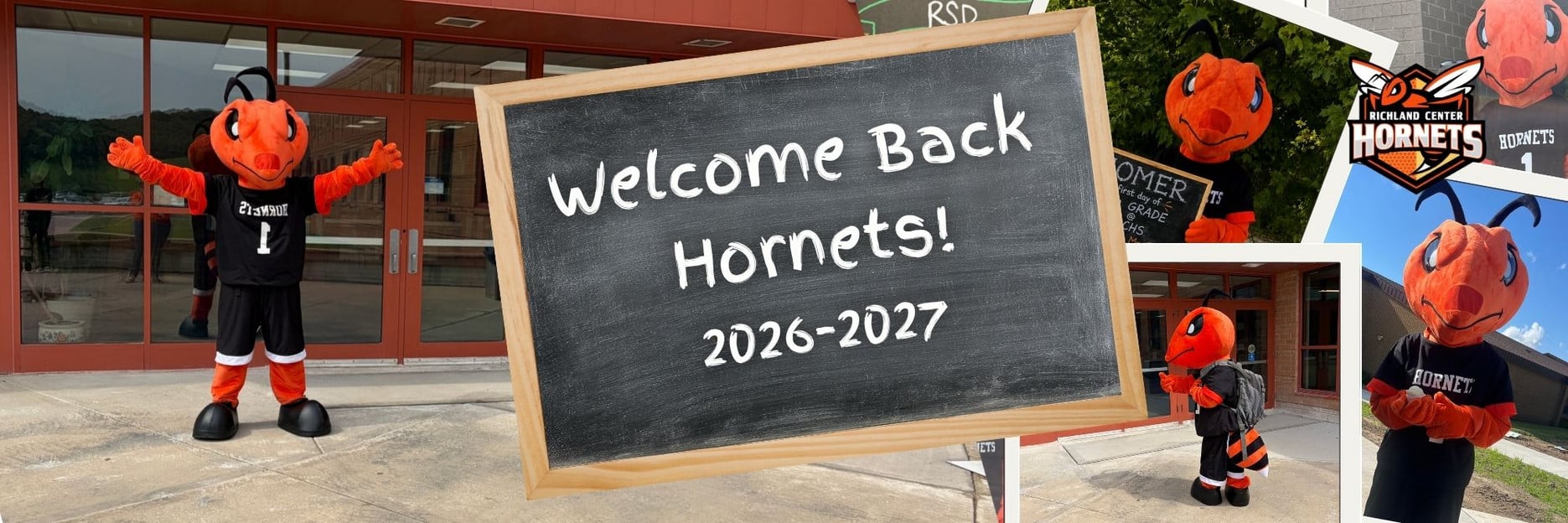 Welcome Back Hornets - Images of Homer the Hornet
